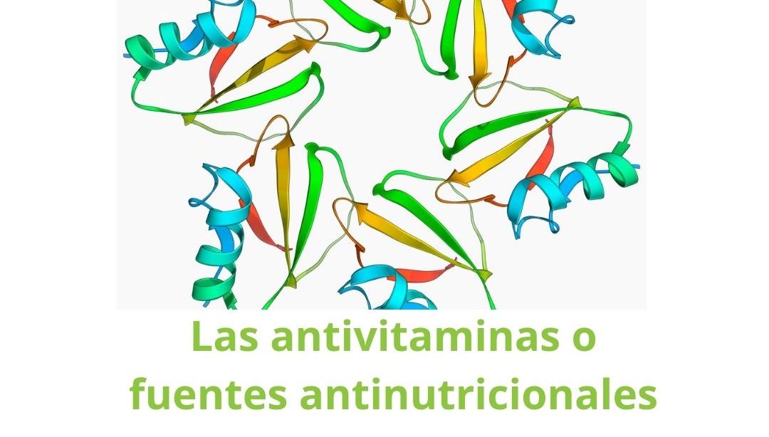 Las antivitaminas o fuentes antinutricionales, nutricionista, nutricionista clínica