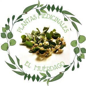 Conociendo las plantas medicinales: el muérdago, nutricionista, nutricionista clínicau