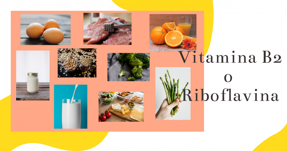 Conociendo las vitaminas: vitamina B2 o Riboflavina., nutricionista, nutricionista clínica
