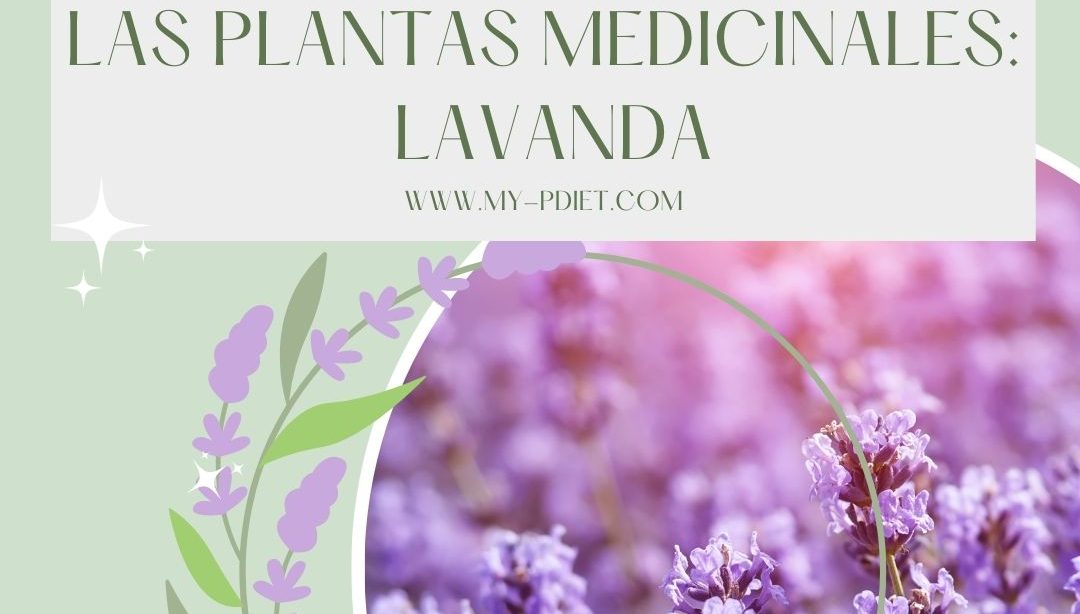 Conociendo las plantas medicinales: Lavanda, nutricionista, nutricionista clínica