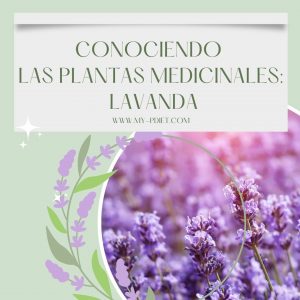 Conociendo las plantas medicinales: Lavanda, nutricionista, nutricionista clínica