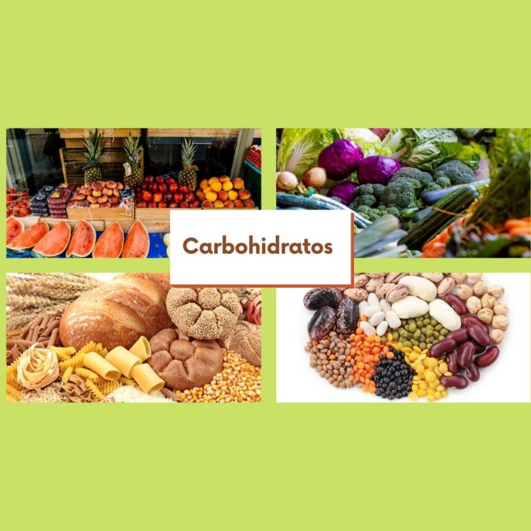 Ideas esenciales de que son los carbohidratos. MyPDiet