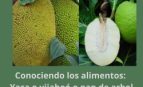 Conociendo los alimentos: Yaca o vijahoó o pan de árbol, nutricionista, nutricionista clínica