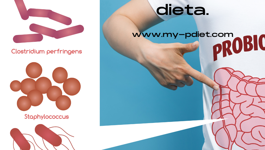 ¿Cual es la relación entre: salud, flora intestinal y dieta?, nutricionista, nutricionista clínica