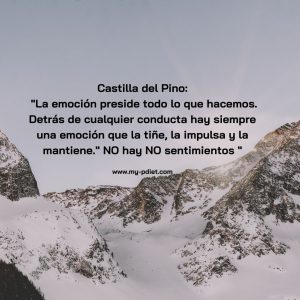 Frases motivadoras: no hay NO emoción, nutricionista, nutricionista clínica