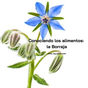 Conociendo los alimentos: la Borraja, nutricionista, nutricionista clínica