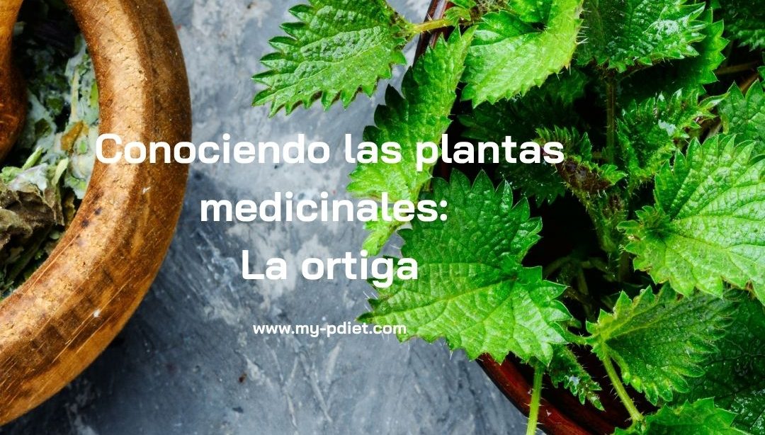 la ortiga, experto en nutrición