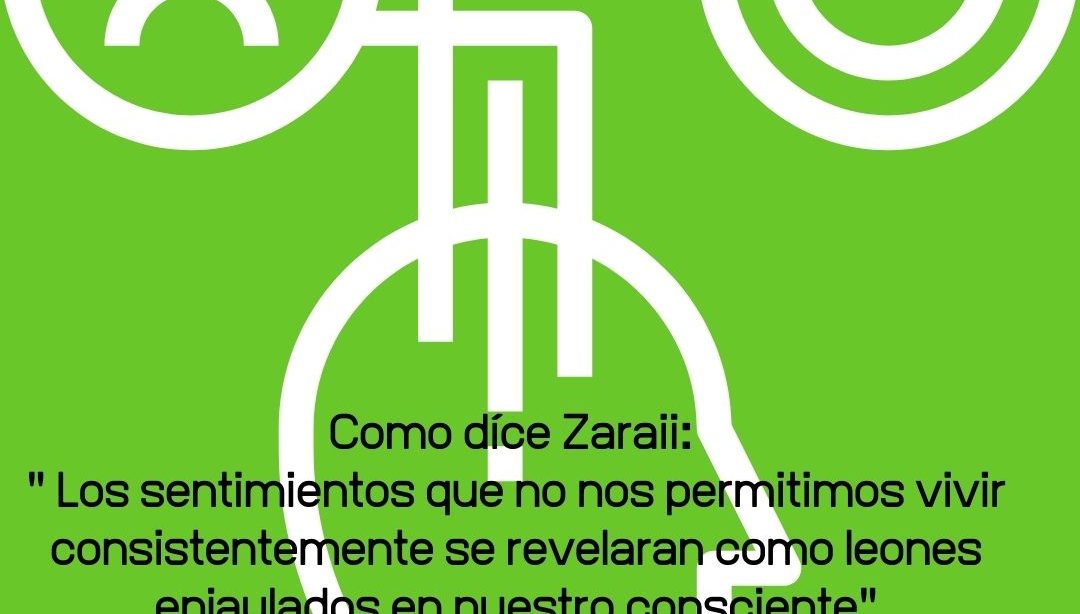 Frases motivadoras: los sentimientos, nutricionista, nutricionista clínica