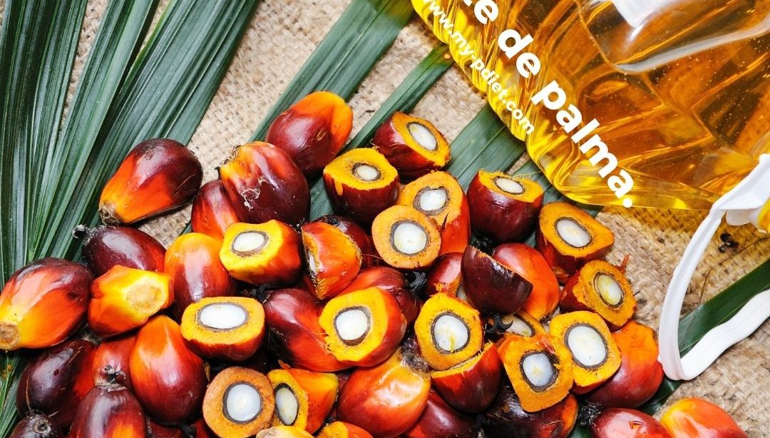 Conociendo los alimentos: aceite de palma, nutricionista, nutricionista clíinica