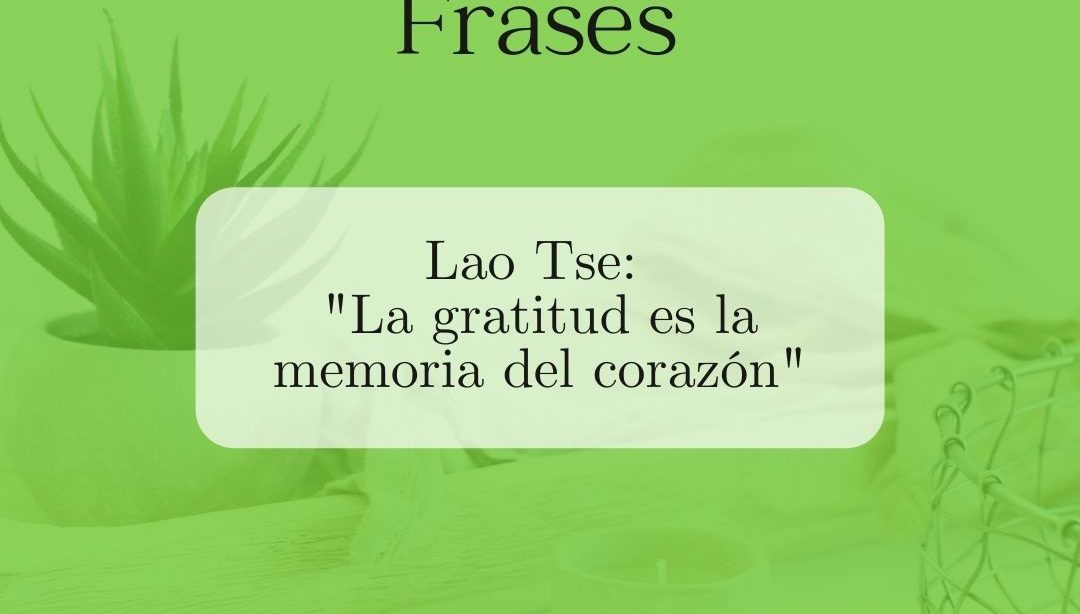 Frases motivadoras: en que te fijas, nutricionista, nutricionista clínica