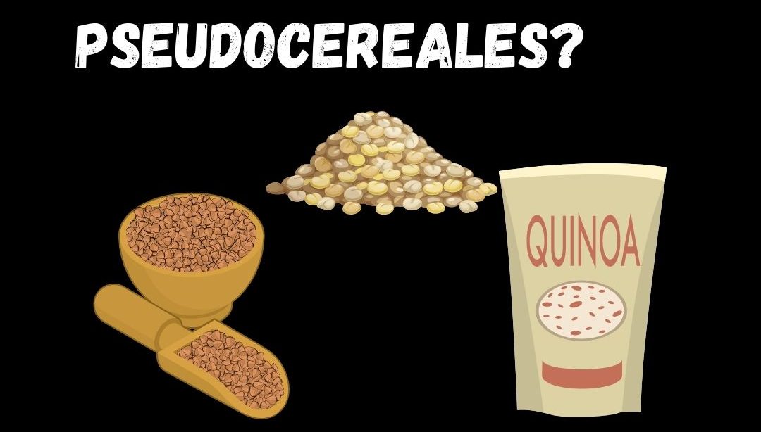 ¿Que son los pseudocereales? nutricionista, nutricionista clínica