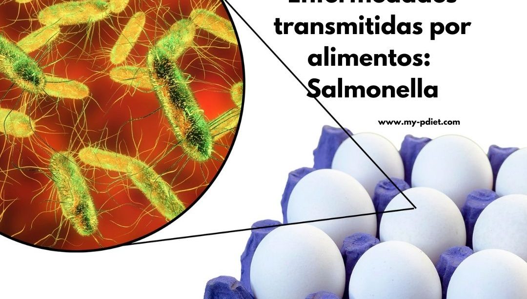 Enfermedades transmitidas por alimentos: Salmonella, nutricionista, nutricionista clínica