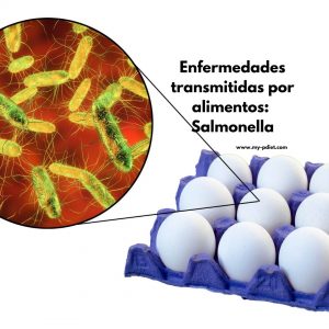 Enfermedades transmitidas por alimentos: Salmonella, nutricionista, nutricionista clínica