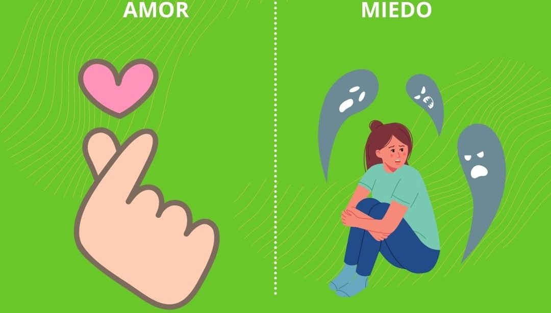 Frases motivadoras: Amor Vs Miedo, nutricionista, nutricionista holistica