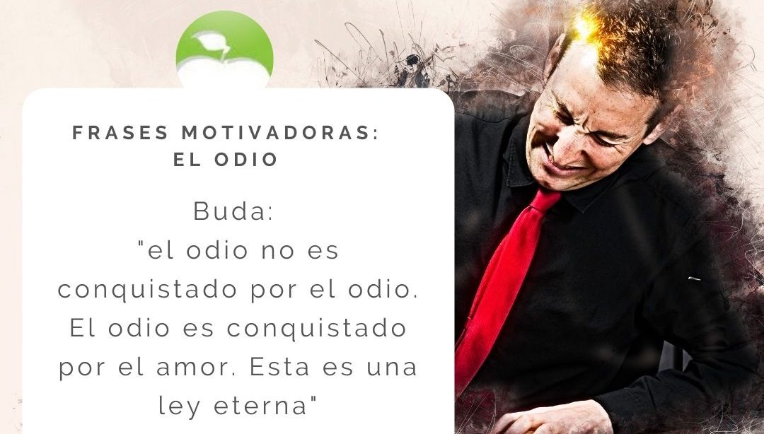 Frases motivadoras: el odio, nutricionista, nutrición holistica