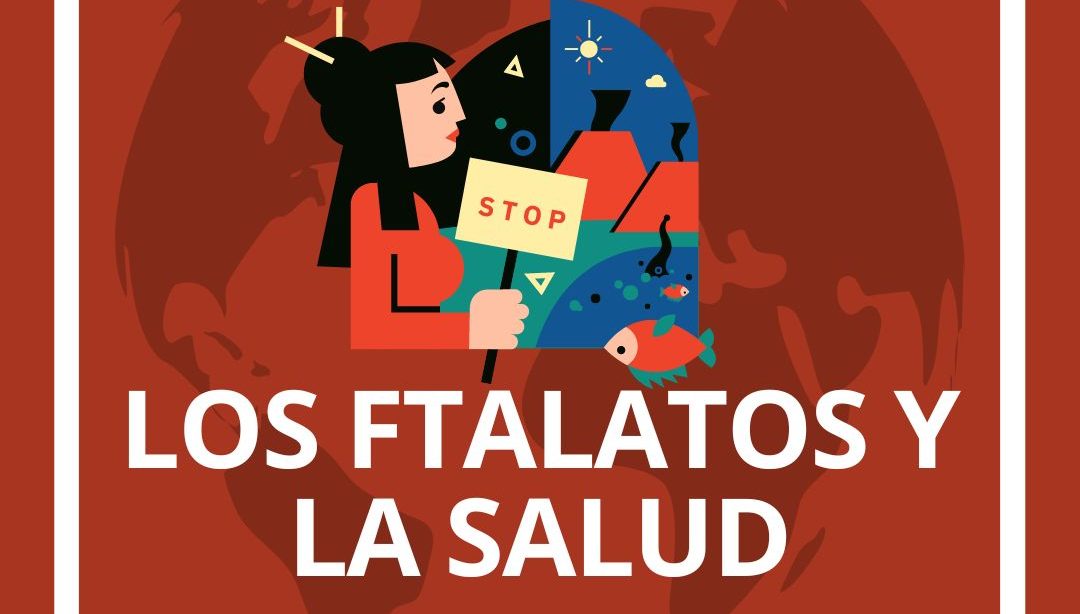 Los ftalatos y la salud, nutricionista, nutricionista clínica