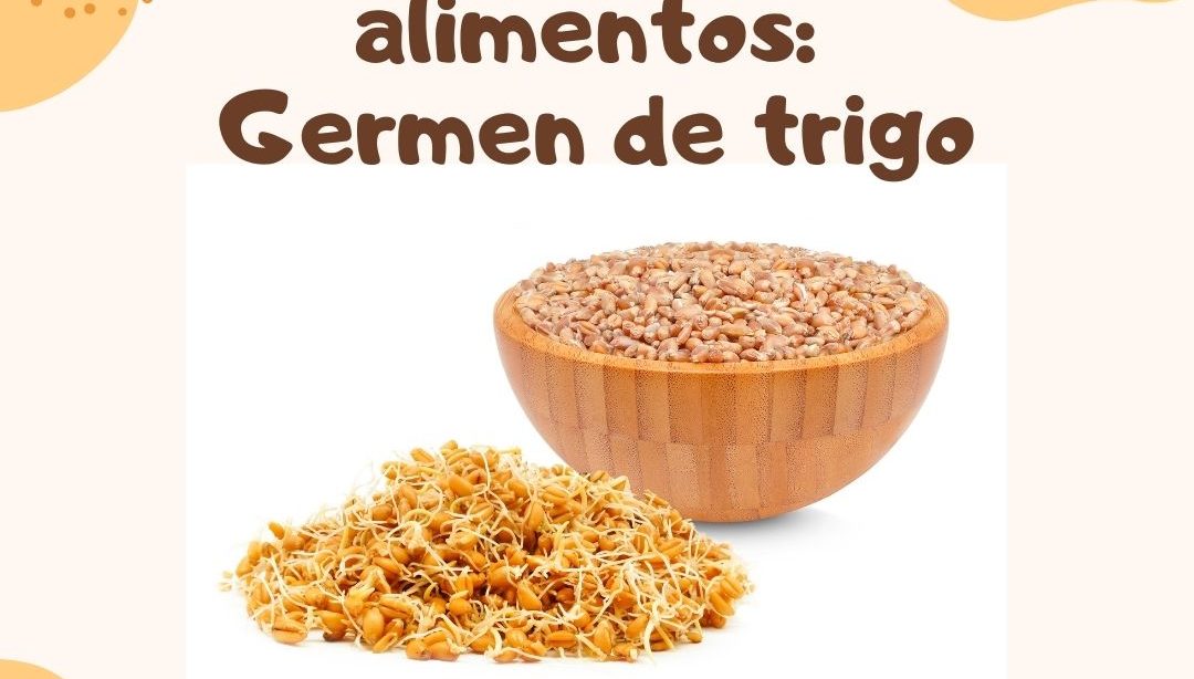 Conociendo los alimentos: Germen de trigo, nutricionista, nutricionista clínica