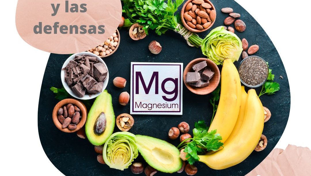 La función del magnesio en la defensas, nutricionista, nutricionista clínica