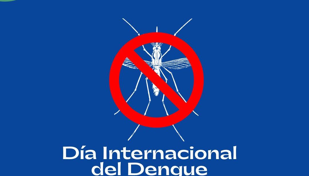 Día Internacional del Dengue, nutricionista, nutricionista clínica