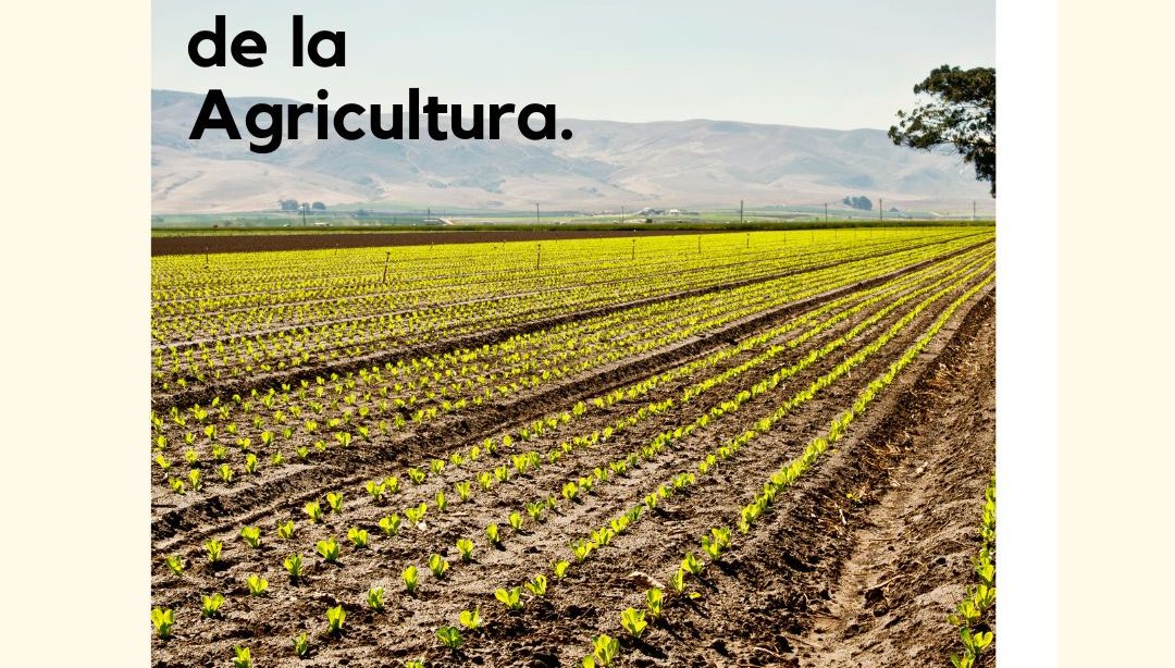 Día Mundial de la Agricultura, nutricionista, nutricionista holistica