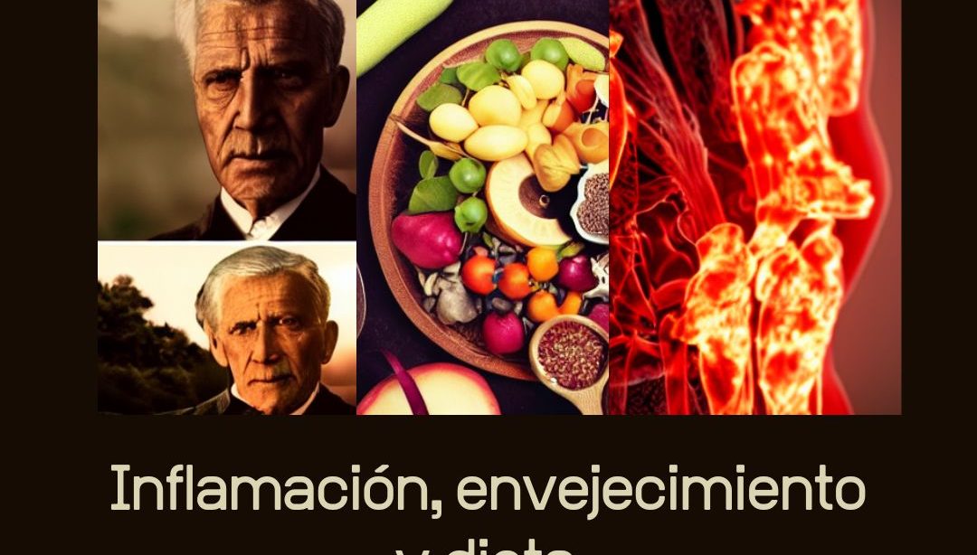 Inflamación, envejecimiento y dieta. Nutricionista, nutricionista clínica.