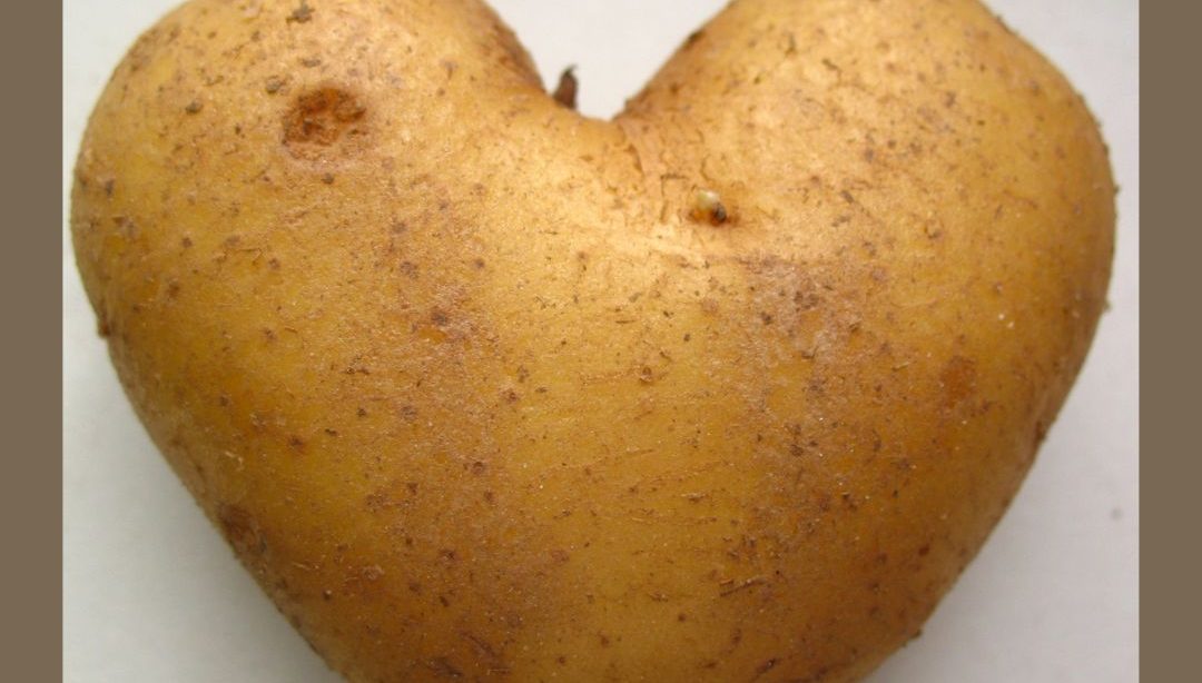 El mito de las patatas. Nuutricionista, nutricionista clínica