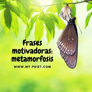 Frases motivadoras: metamorfosis🦋, nutricionista, nutricionista, nutricionista holítica