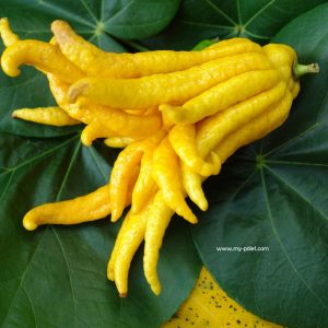 Conociendo los alimentos: Mano de Buda, nutricionista, nutricionista clínica