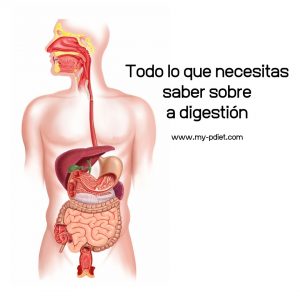 Todo lo que necesitas saber sobre la digestión, nutricionista, nutricionista clínica