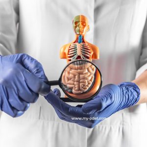 Neurotensina: La Hormona que Regula el Apetito y la Digestión, nutricionista, nutriconista clíica