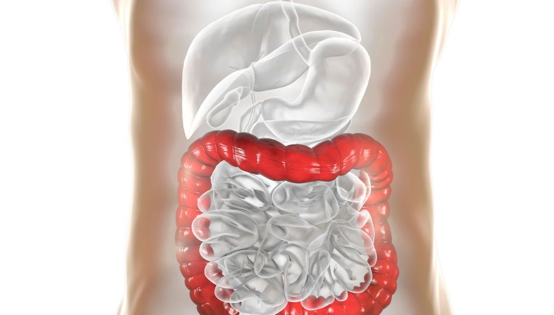 Pautas Alimentarias para un Colon Sano, alimentación consciente, nutricionista clínica