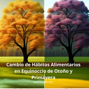 Cambio de Hábitos Alimentarios en Equinoccio de Otoño y Primavera, nutricionista, alimentación consciente