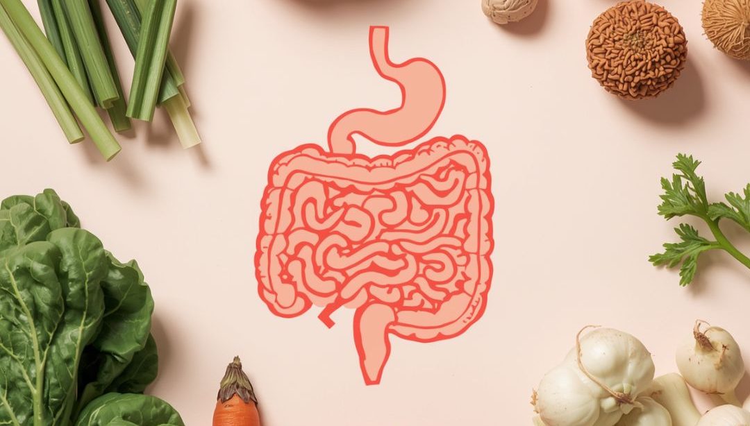 probióticos, prebióticos, microbiota intestinal, salud digestiva, alimentación saludable, nutrición, flora intestinal, bienestar, digestión, alimentos fermentados