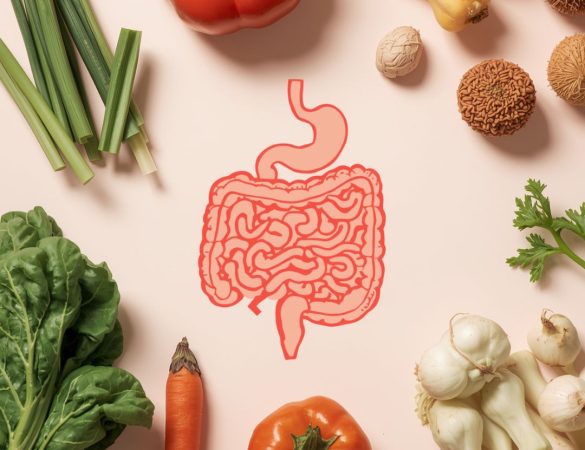 probióticos, prebióticos, microbiota intestinal, salud digestiva, alimentación saludable, nutrición, flora intestinal, bienestar, digestión, alimentos fermentados